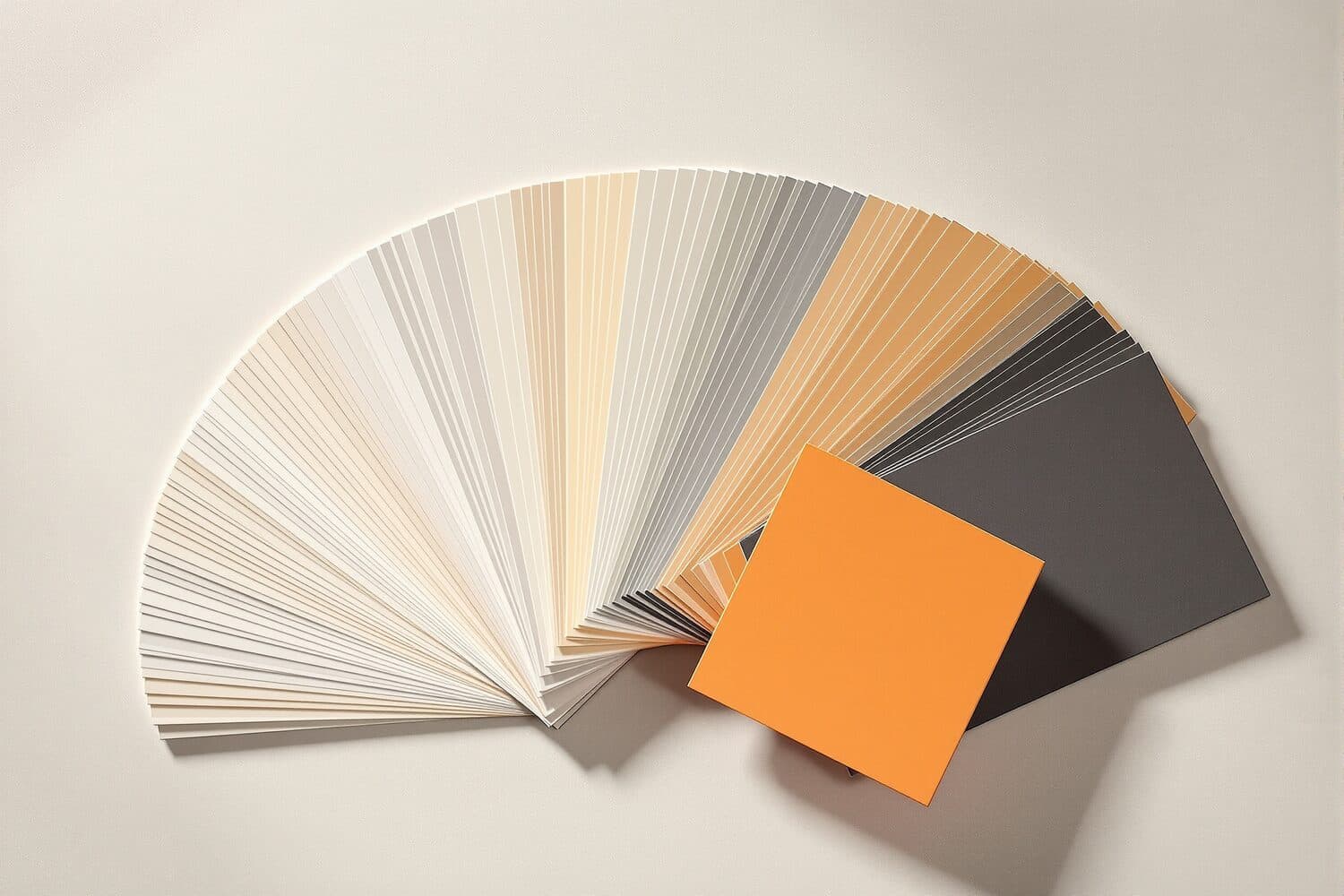 Brand Identity